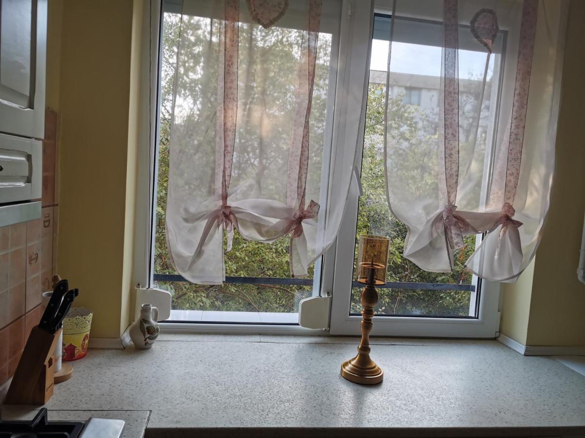 Chic Apartment Brăila Eksteriør billede
